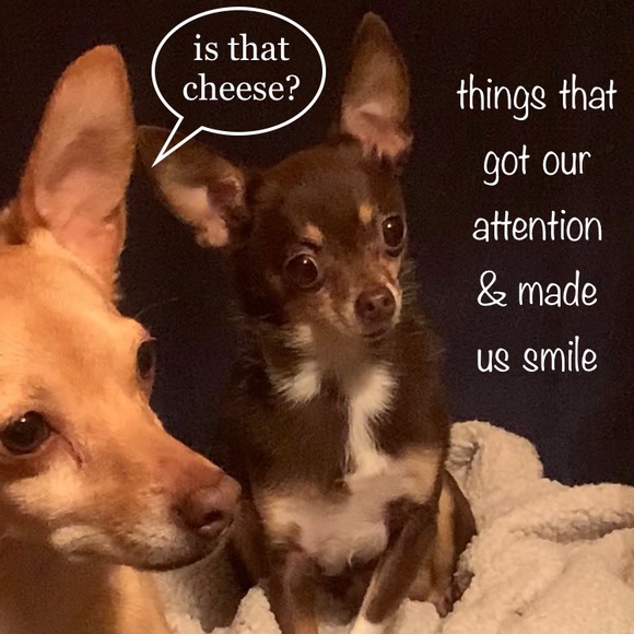 π new listings π - Picture 5 of 7